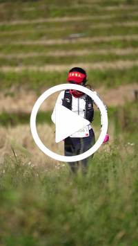 BIB:  <button type="button" onclick="openModal(26787331)" class="btn btn-primary btn-sm float-right" data-toggle="modal" data-target=".modal-high-quality">
                <i class="fa fa-download"></i> Download
                </button>